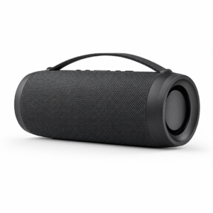 Audio